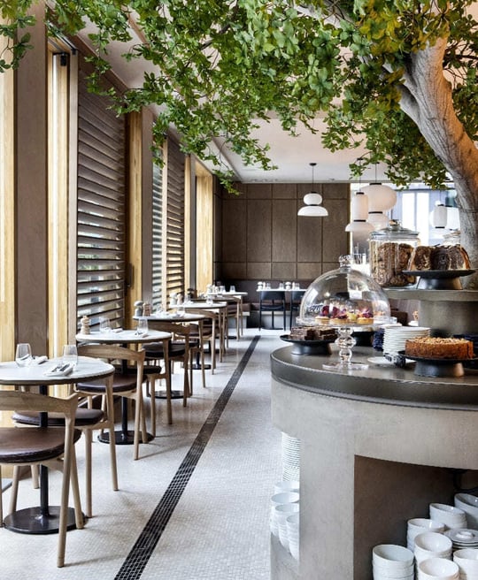 Bok_dining_chairs_Ethnicraft_case_Pillows_Maurits_at_the_Park_Breakfast