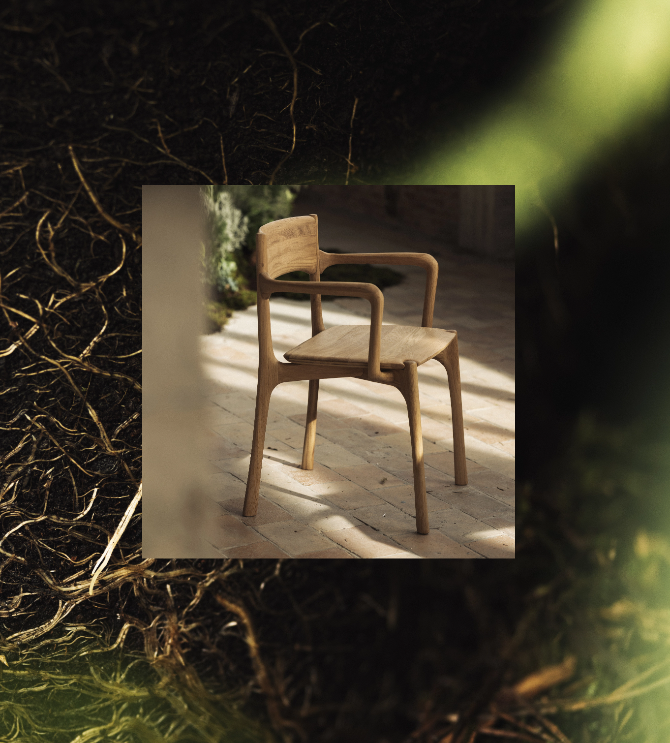 PI_chair_with_armrests_oak_growing_roots_Ethnicraft